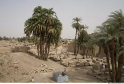 Photo Textures of Nature